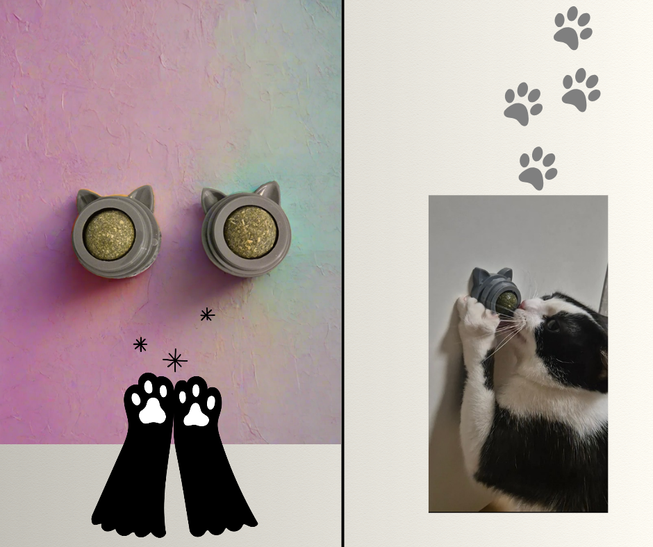 2 Stück Katzenminze ball